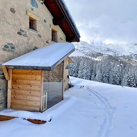 Alpine Dream House - Chalet Gressan Exteriér fotografie